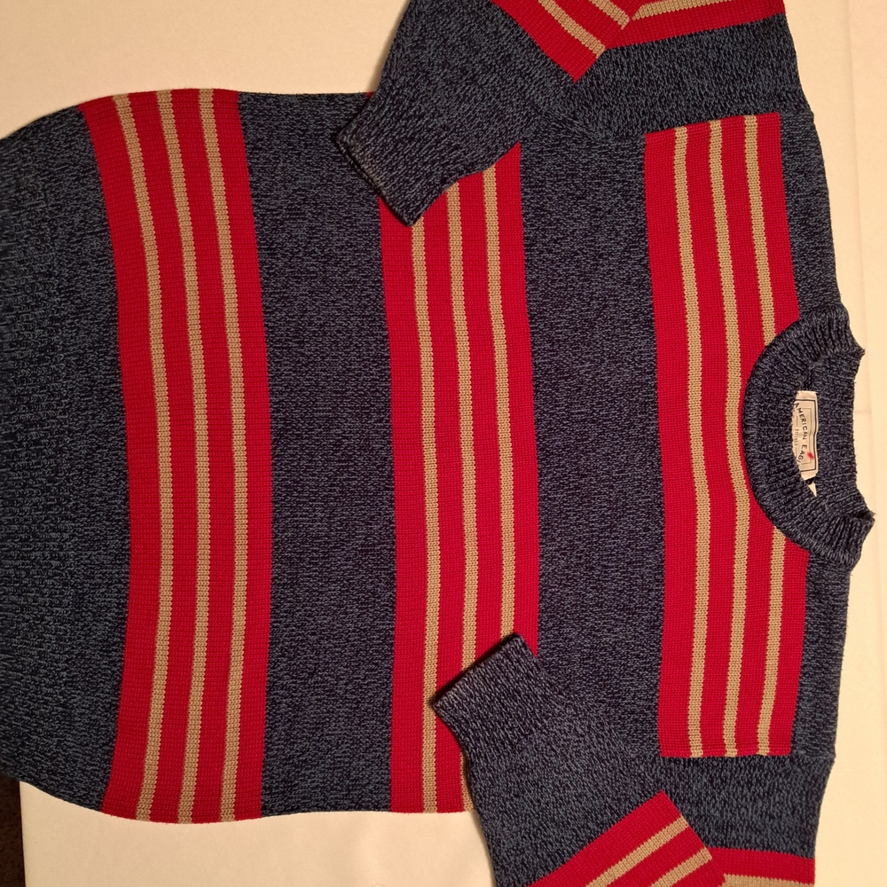 Vintage 90s American Eagle Outfitters Blue and Red Striped Thick Sweater